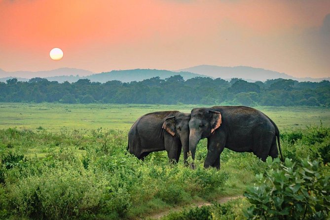 udawalawe-national-park-min