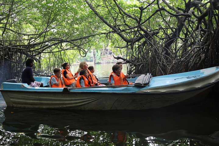 894bbc9e-bcfe-46b5-b421-e650fd416b22_mangroves-of-madu-ganga-boat-tour-private--allinclusive