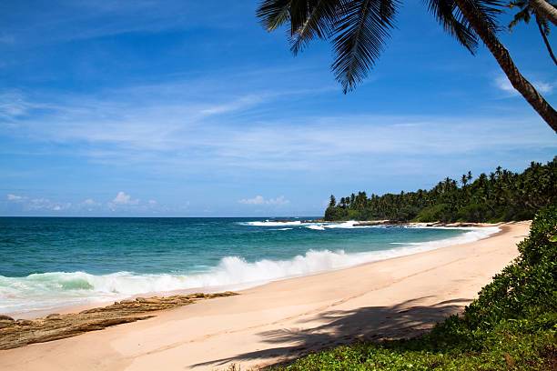 Turqoise beach on the south coast of Sri Lanka. Tangalle region