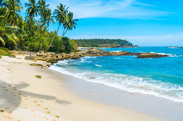 Tropical beach in Sri Lanka