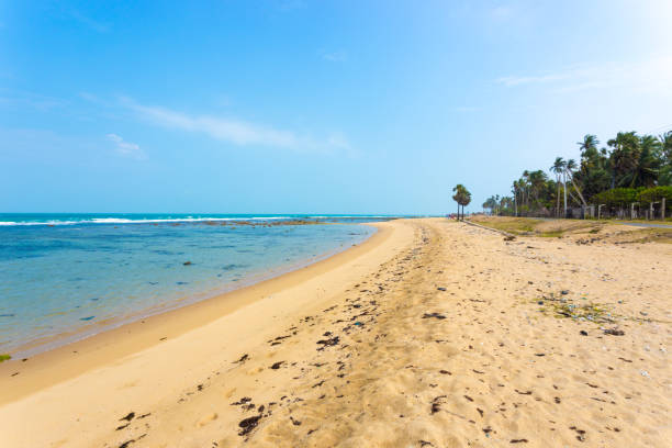 A sand beach with strewn litter seen in Point Pedro, along the northern coast of Jaffna, Sri Lanka. Horizontal